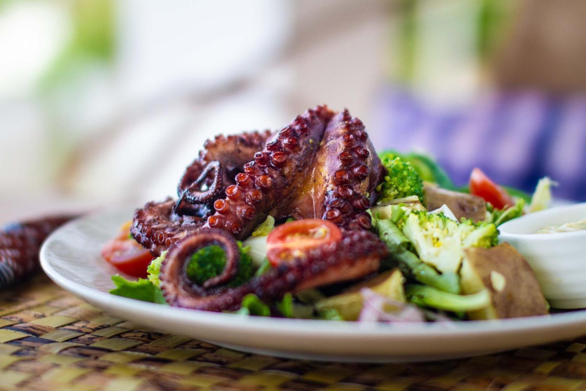 Kupaga Villas Boutique Hotel - Adults Only Jambiani  Εξωτερικό φωτογραφία