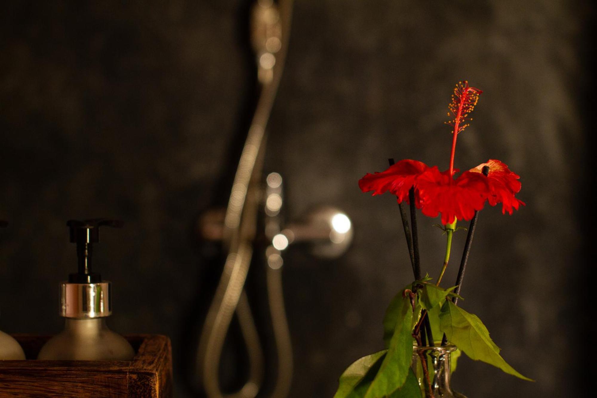 Kupaga Villas Boutique Hotel - Adults Only Jambiani  Δωμάτιο φωτογραφία